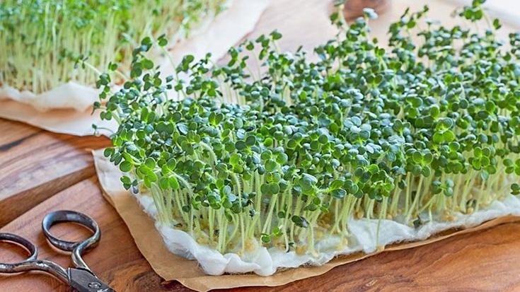 Фото с pinterest.com