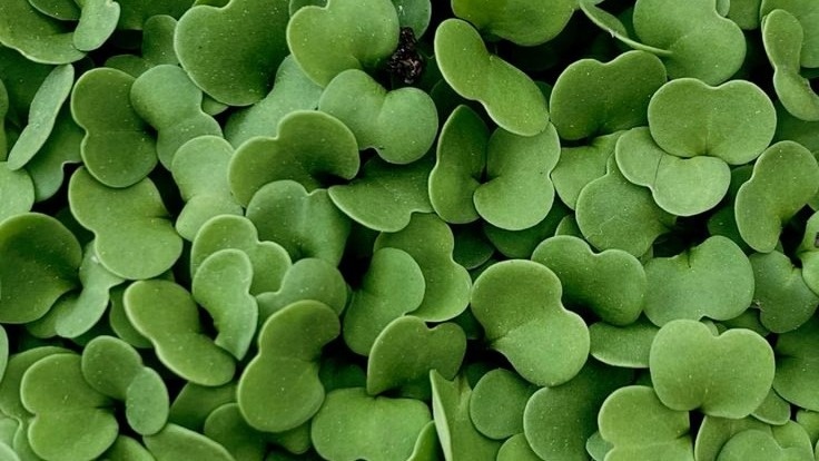 Фото с pinterest.com