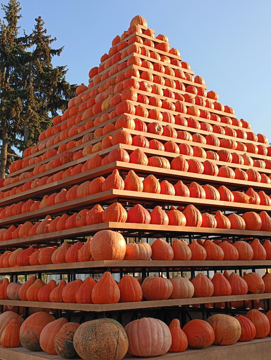 Пирамида изобилия из тыкв
