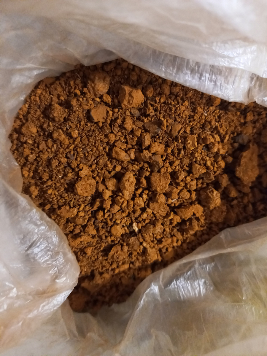 Взблендеренный гриб Чага