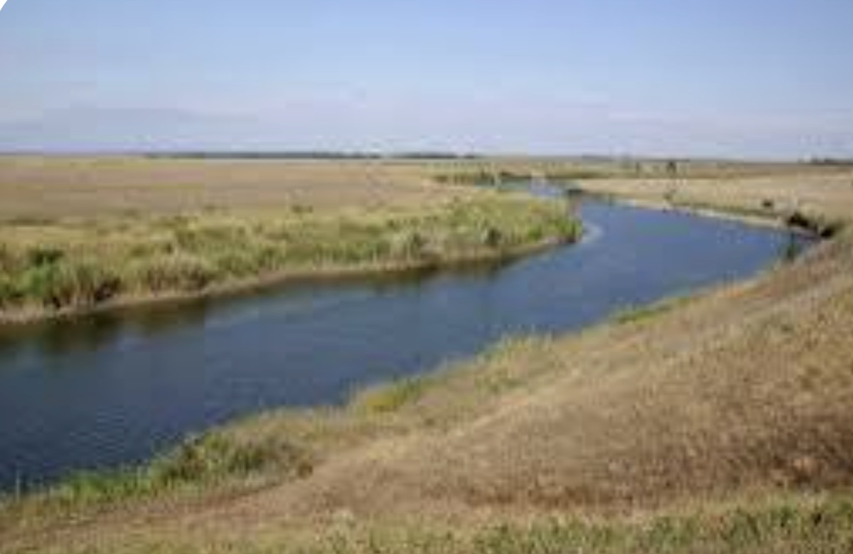 из свободных источников