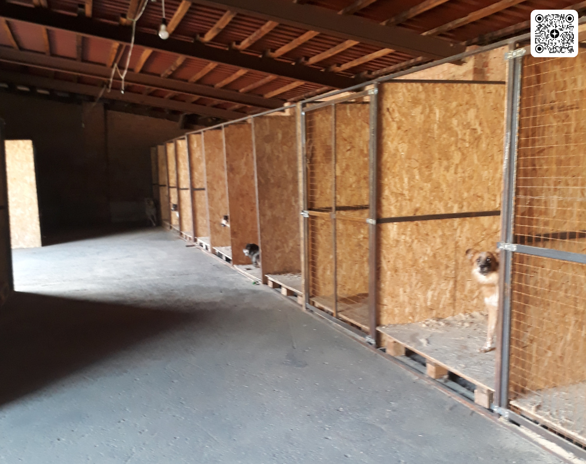 Вольеры для собак в помещении (1 из 3 блоков). 