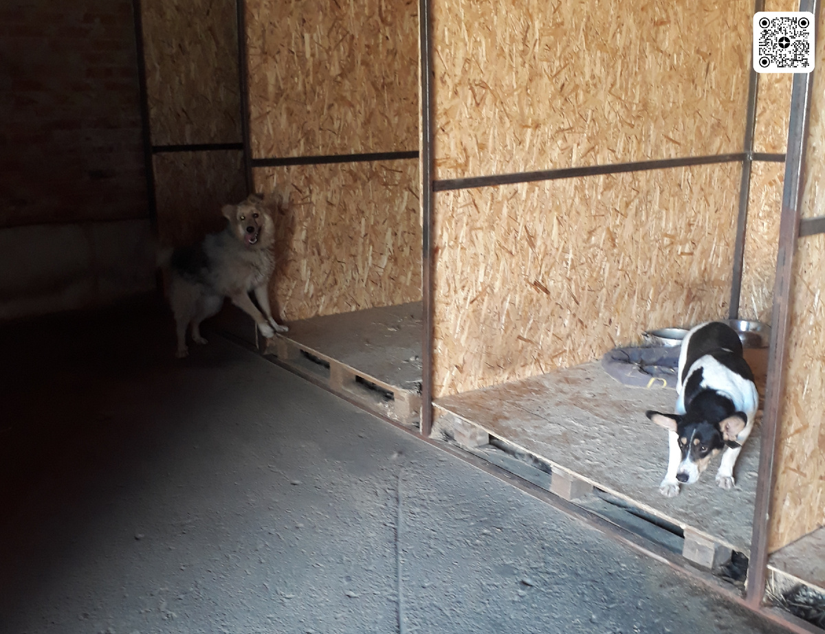 Франк (в конце помещения)