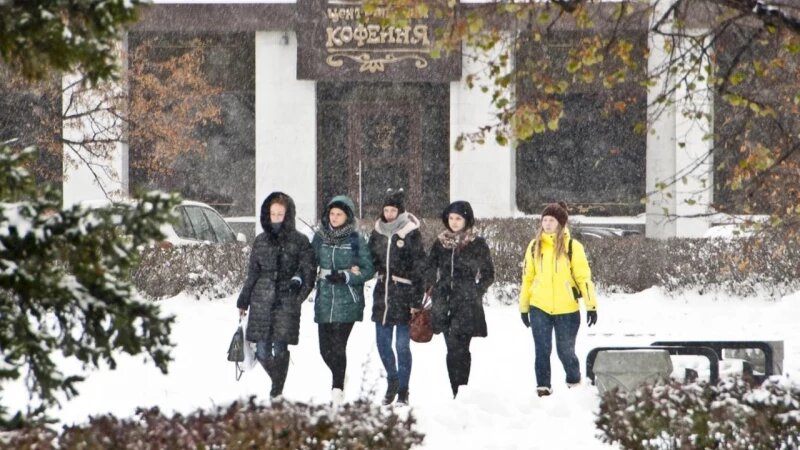     Осенний снег в Барнауле в разные годы. Анна Зайкова, altapress.ru