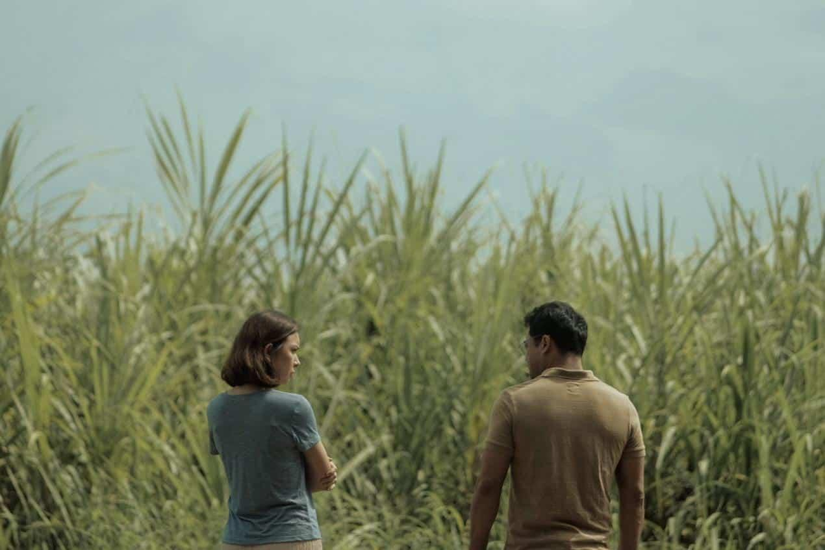 Топ-12 новых фильмов ужасов 2024 года, уже вышедших в хорошем качестве