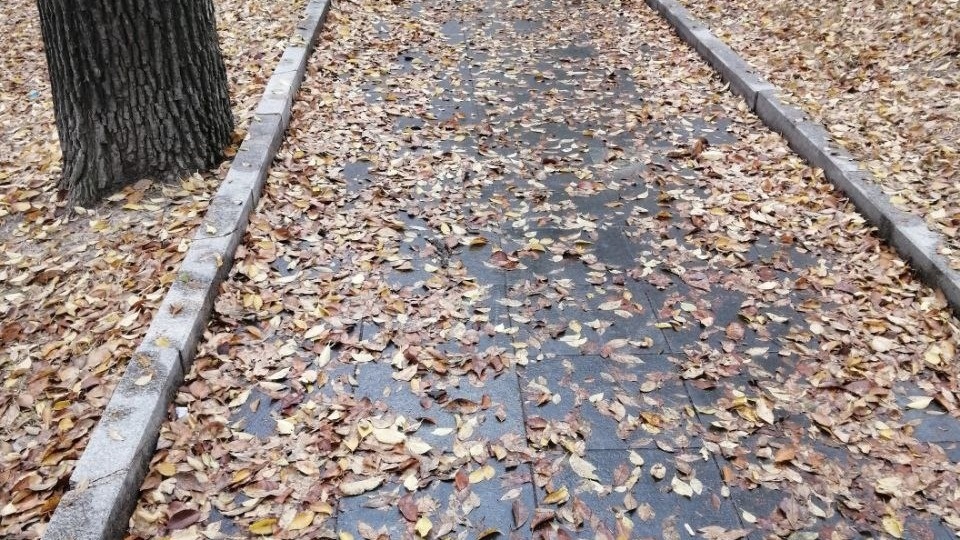     Источник: vostokmedia.com