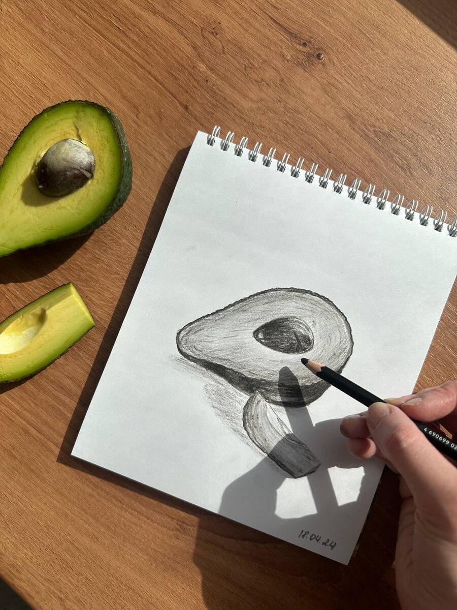 Авокадо угольным карандашом