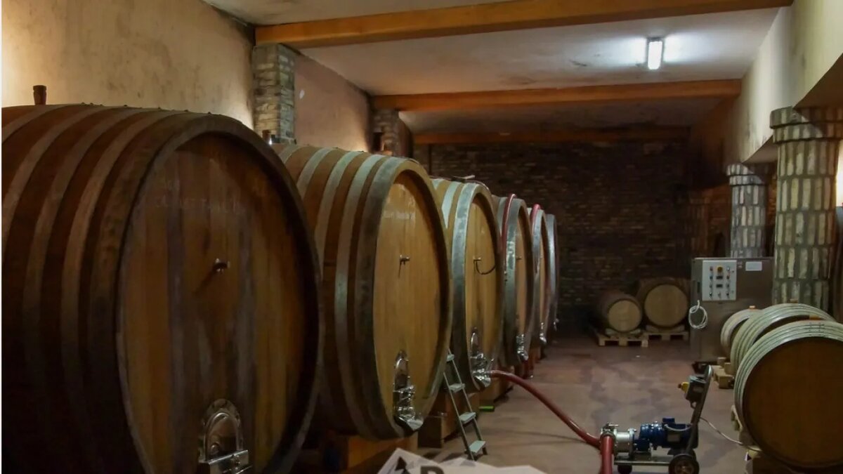    Винодельня.