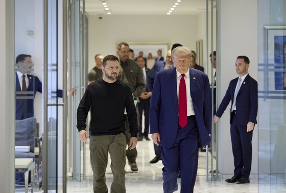    Дональд Трамп и Владимир Зеленский