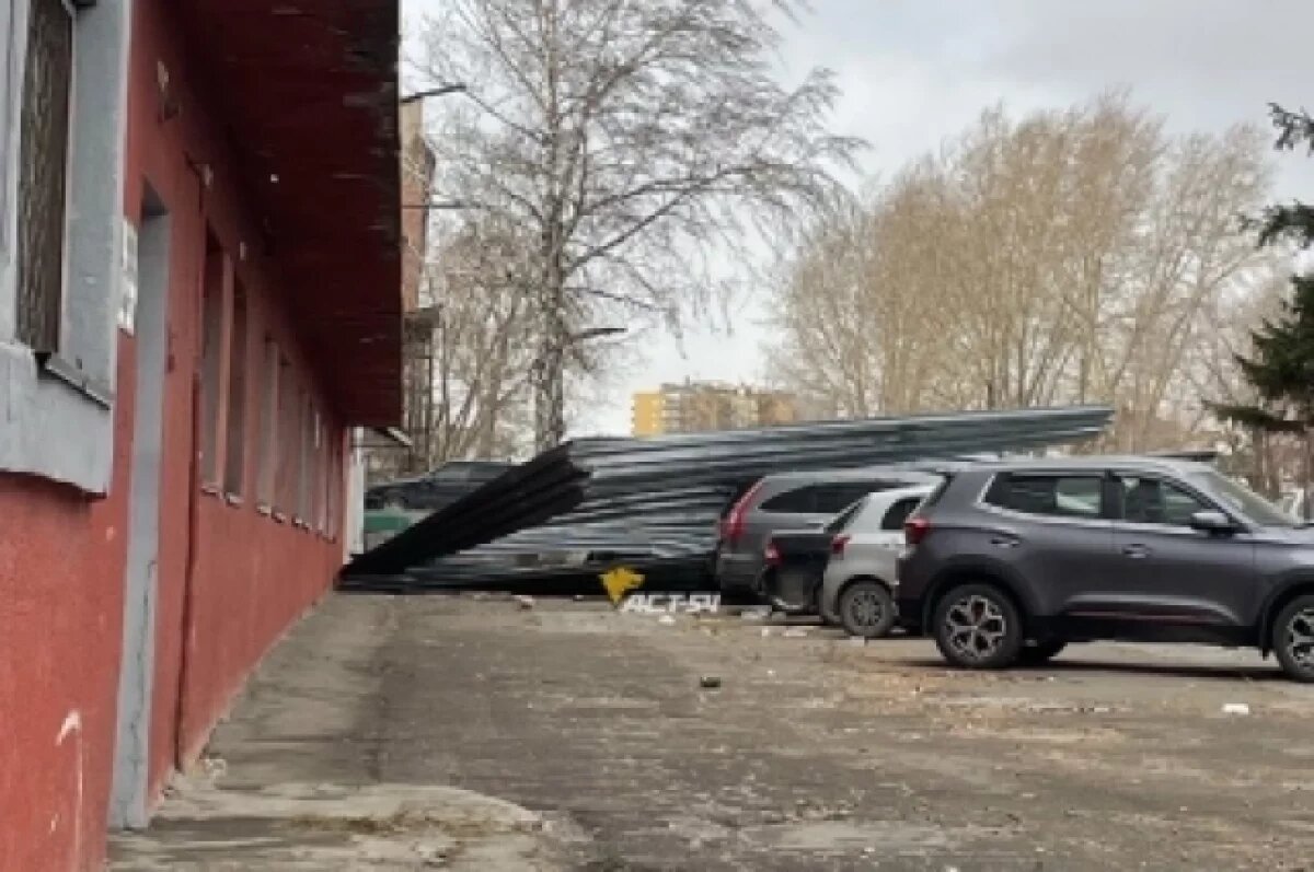    Ураганный ветер 7 ноября срывал крыши и валил деревья в Новосибирске