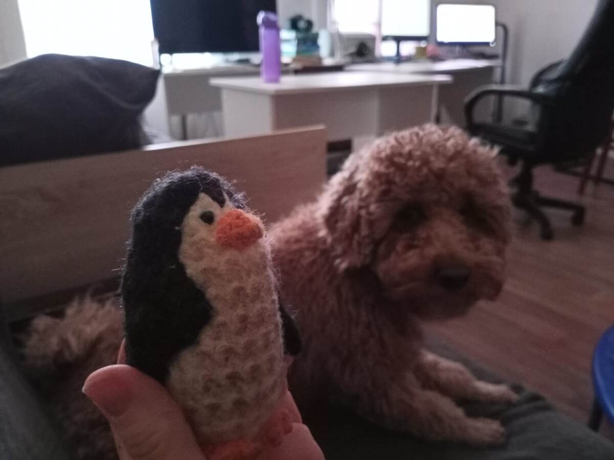 Румпель: - Ну же, бросай.