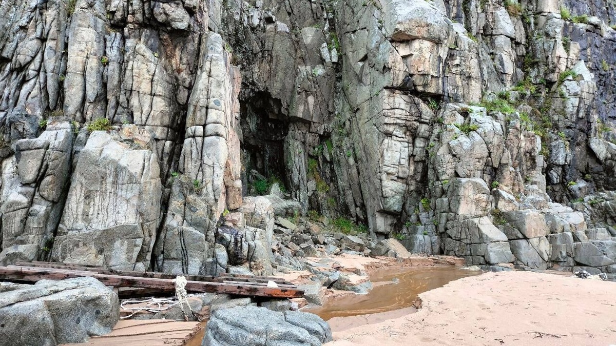     Автор: Ульяна Горобейко Источник: amurleo_land