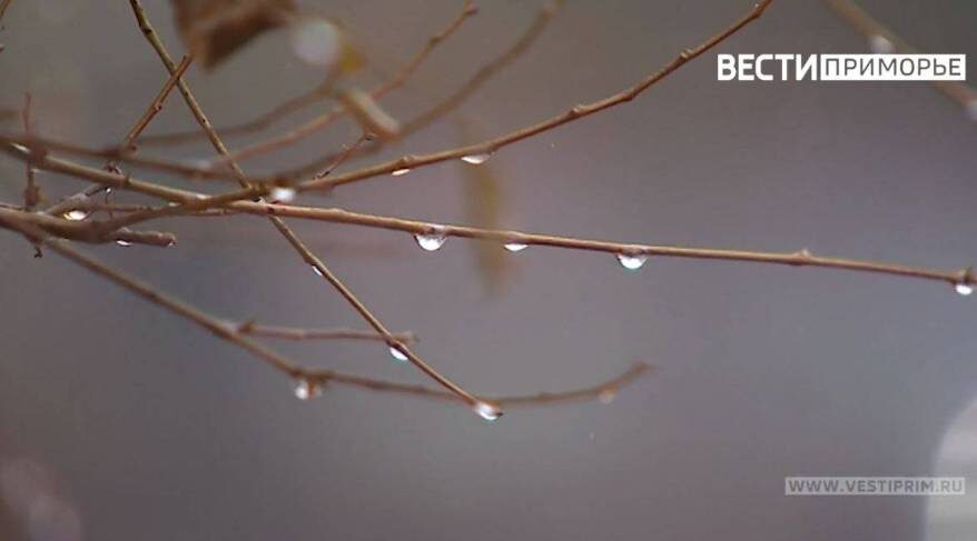    Источник фото: