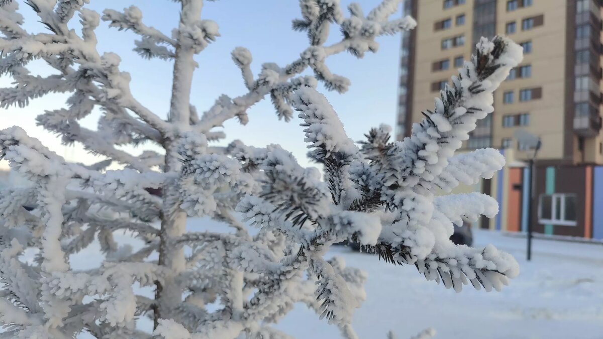     Автор: Алина Гурицкая Источник: atas.info