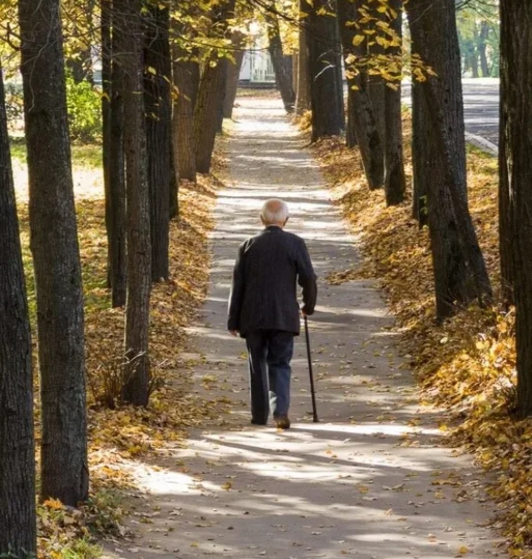 Фото из интернет 