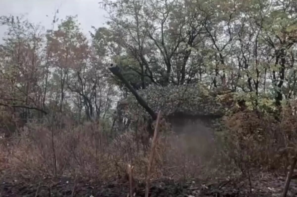    Военные РФ уничтожили польскую гаубицу Krab, замаскированную в лесополосе