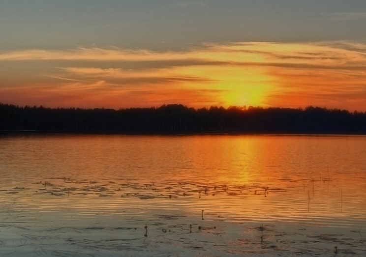 Ивачевское озеро – красота! (Фото: st.cherinfo.ru).