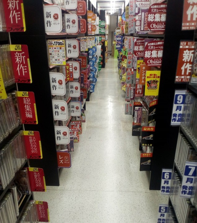 Только в Японии большую часть секс-шопа может занимать книжный отдел...