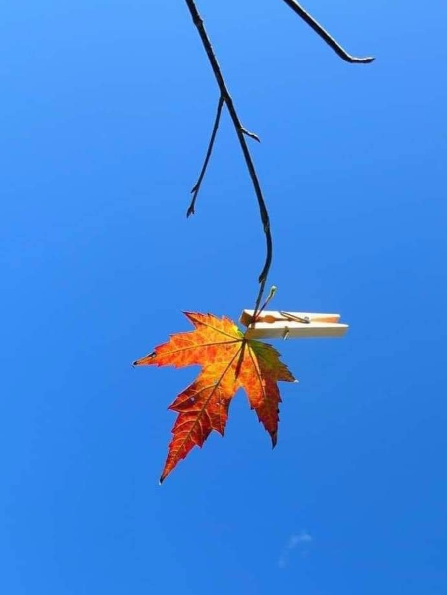 Фото из интернета, автора не знаю.