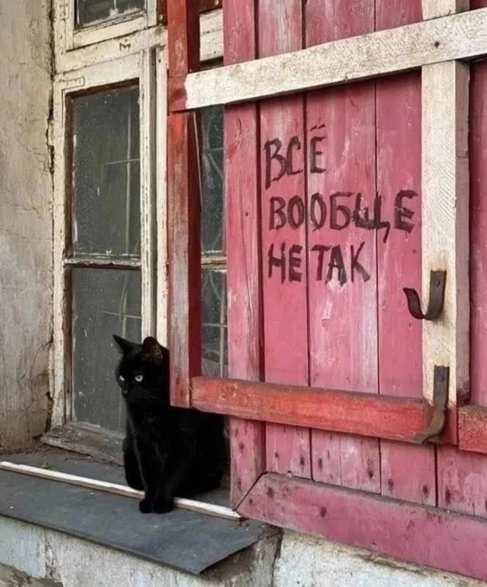 Фото из интернета, автора не знаю. 