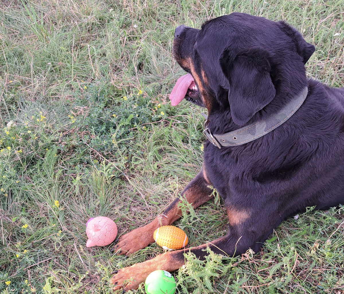 фото из личного архива