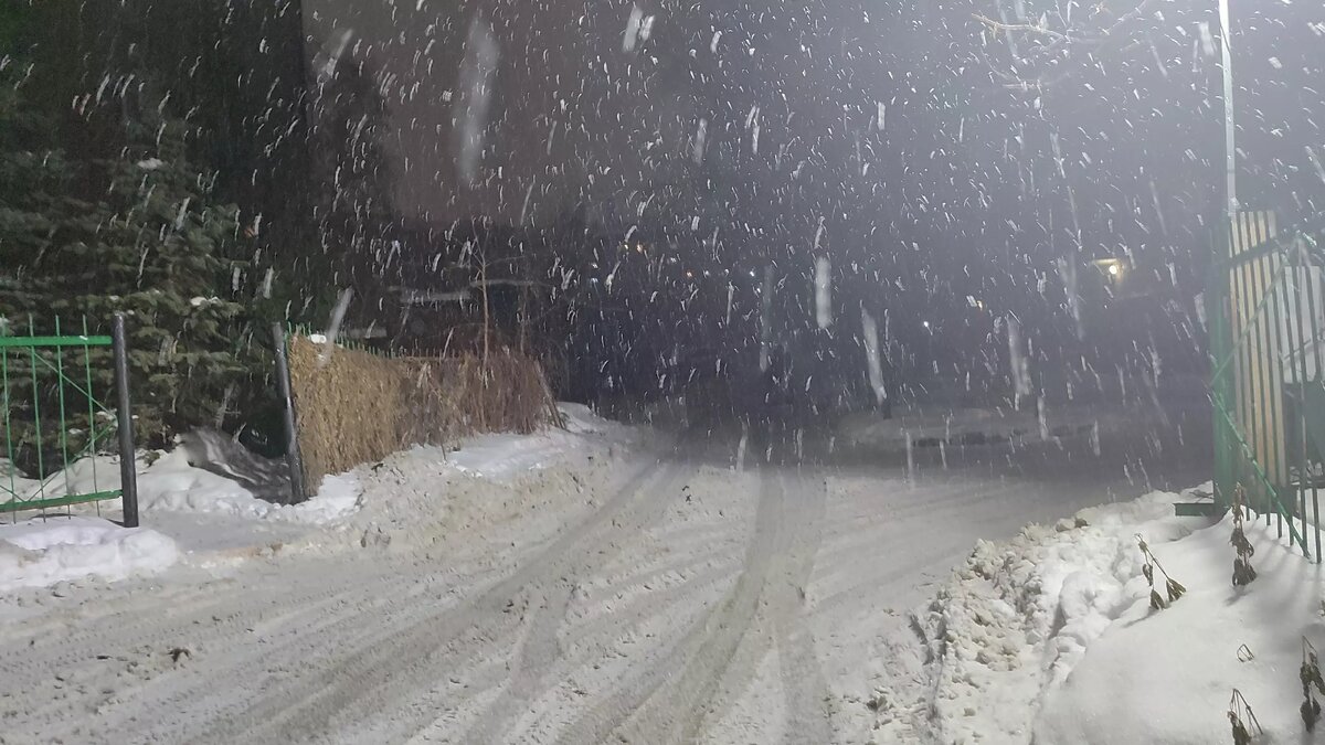     Автор: Алина Гурицкая Источник: atas.info