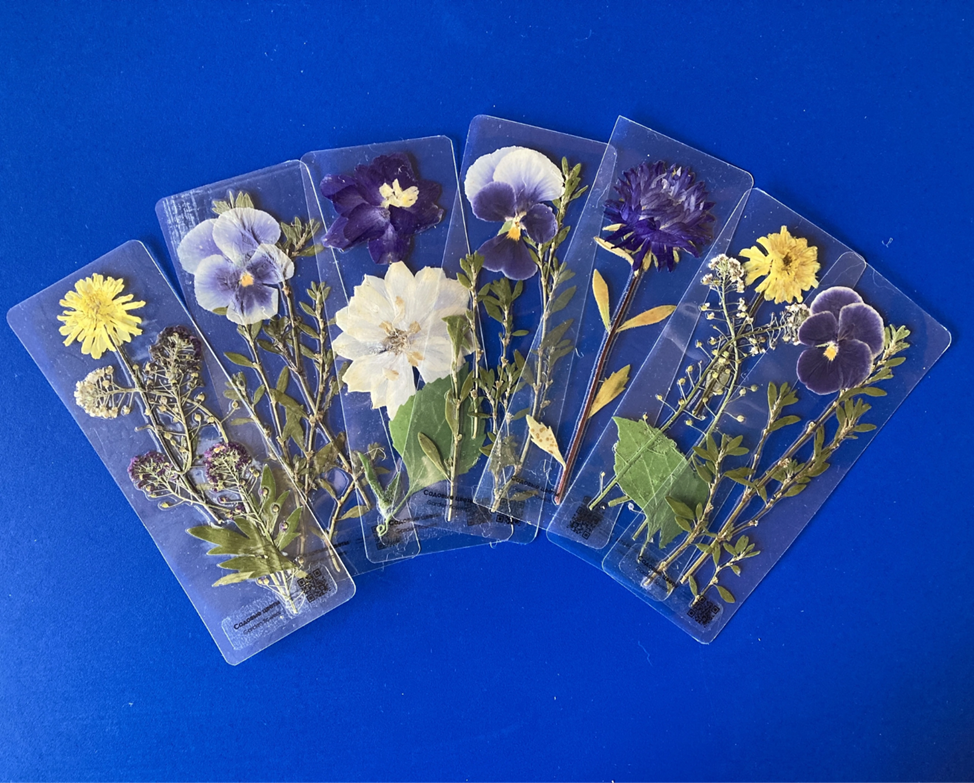 Закладка с Байкальскими травами 