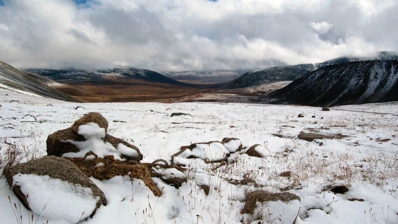     Плато Укок. TatyanaPenn, Wikimedia Commons