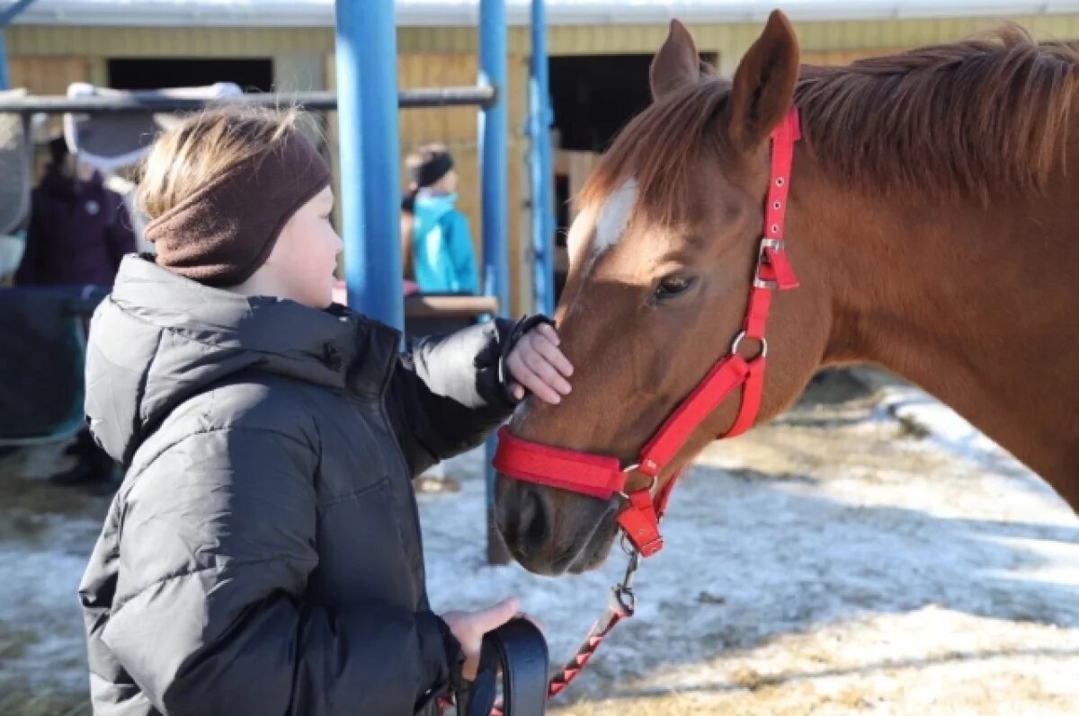    Хабаровский «Мустанг» возвращает силу спортивных традиций