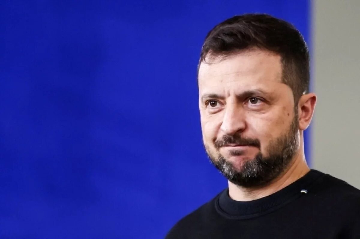    Депутат Рады Шевченко призвал Зеленского к диалогу с Россией