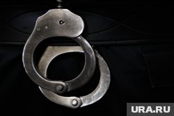    Ирина Аллеман признана иноагентом за распространение материалов из иностранных источников