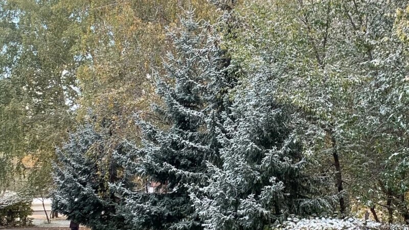     Снегопад и метель в Барнауле. altapress.ru.