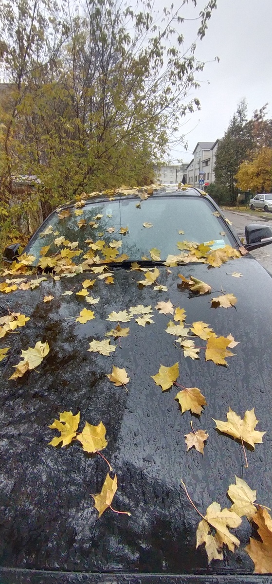Личное фото