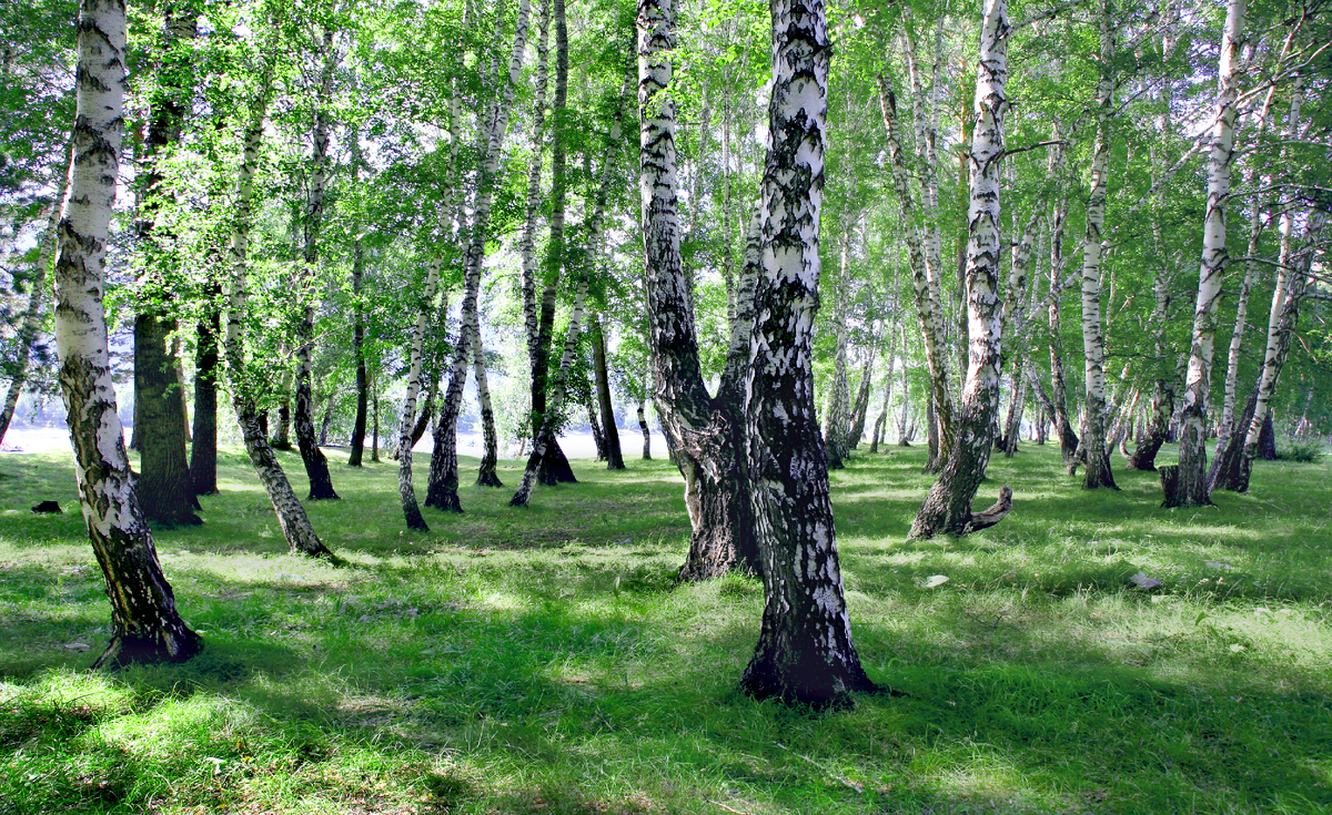 Фотография, стихотворение Василия Глуцкого 