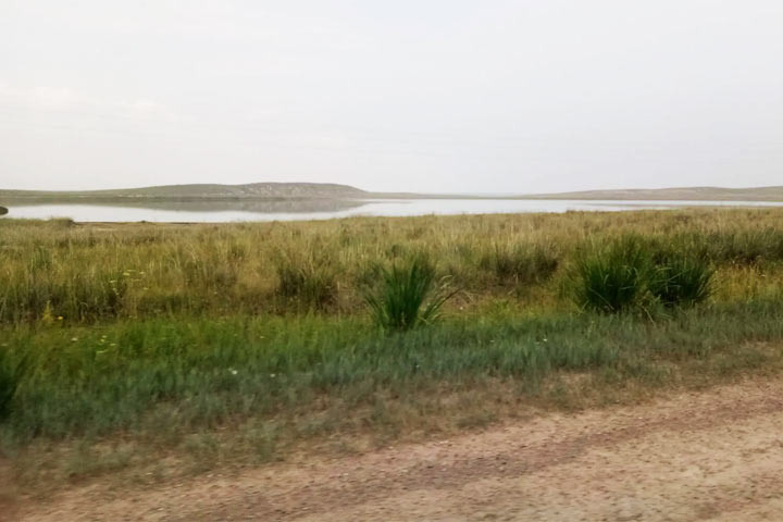 Фото: Svetlana, Ок 