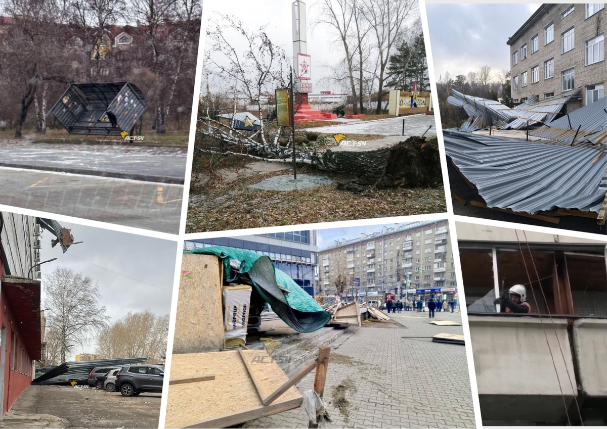 Фото: ACT-54 Black / МАСС / ЦСБС СО РАН