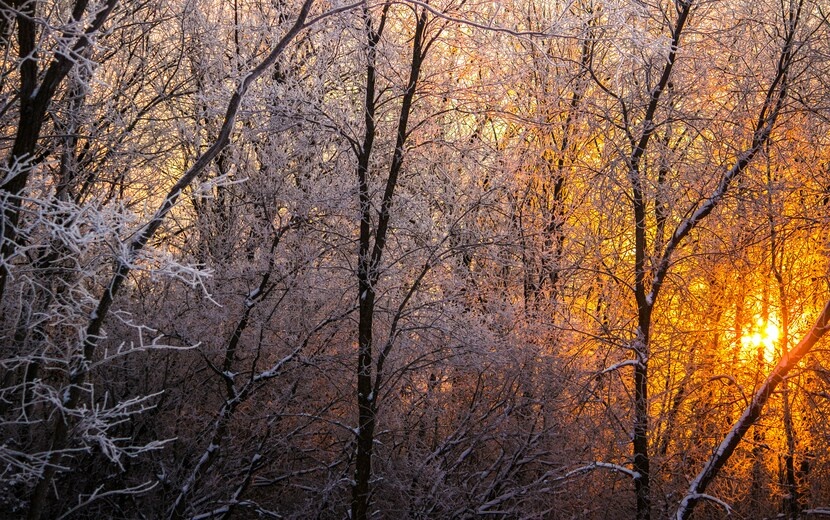    Главные новости Ижевска на утро 8 ноября: пострадавшая в автобусе женщина и сроки подросткам за убийство