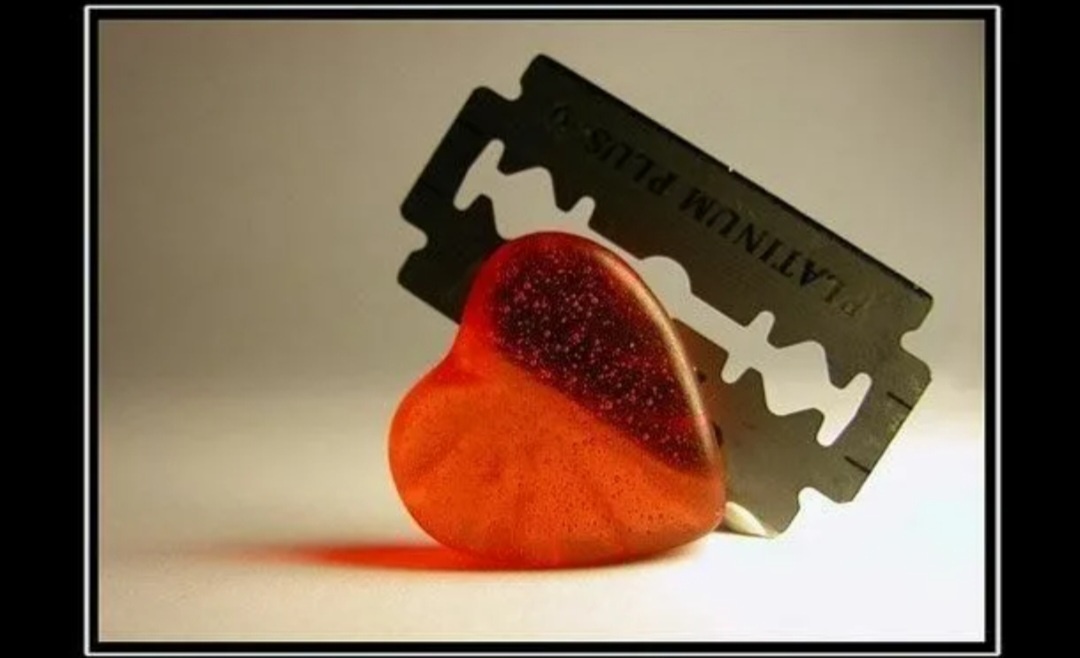 Фото взято из Яндекс картинки