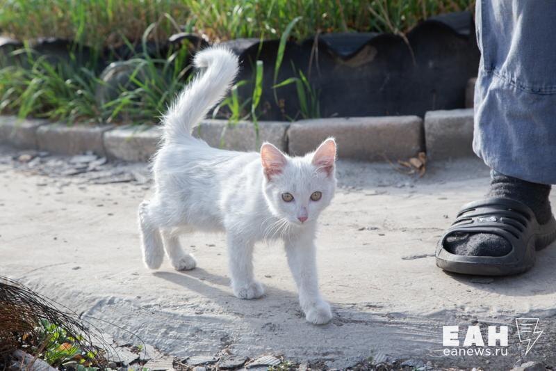    ЕАН. В родкоме считают, что квадробингом стоит заниматься только дома