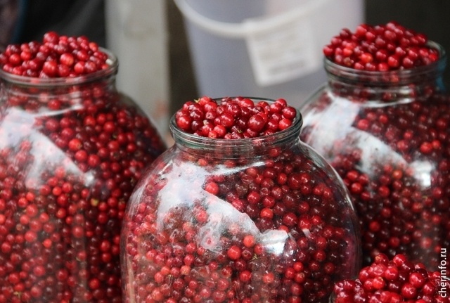    Селхозярмарка пройдет 9 ноября на Шекснинском, 2 у гипермаркета "Лента"