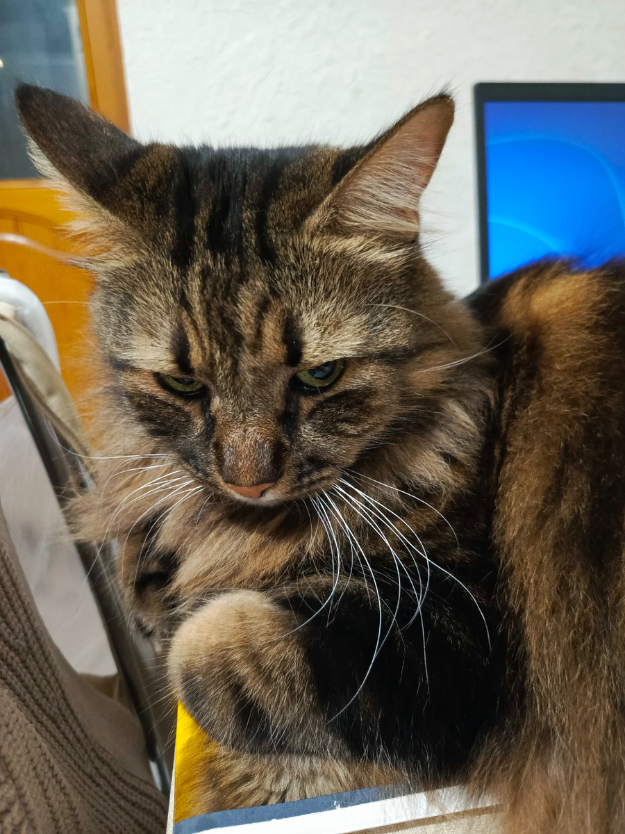 Как я уже устал от этого всего