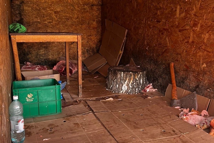    Фото пресс-центра мэрии