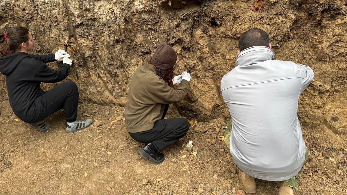     Автор: ВК Андрей Кудряков Источник: https://vk.com/miysfront