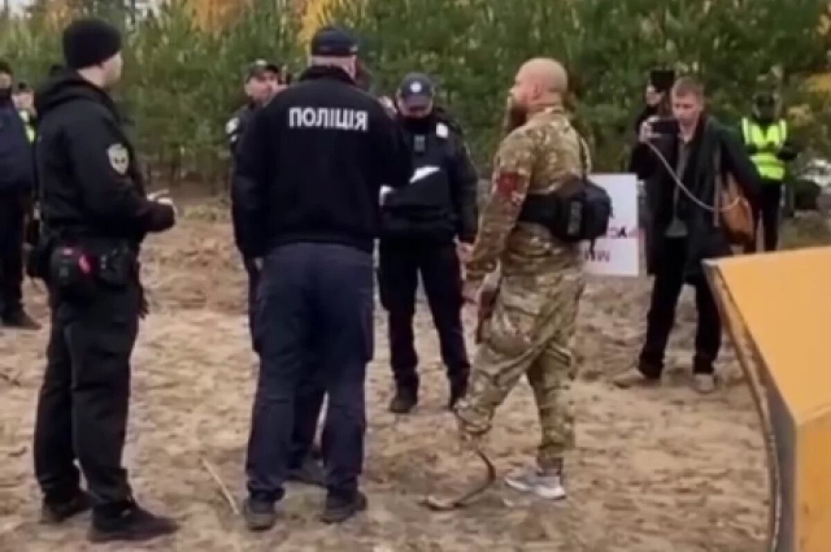    За это скакали?