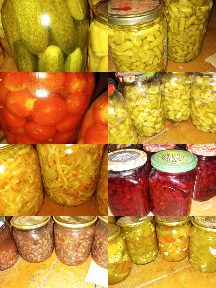 Коллаж автора. Фото и закрутки тоже мои.