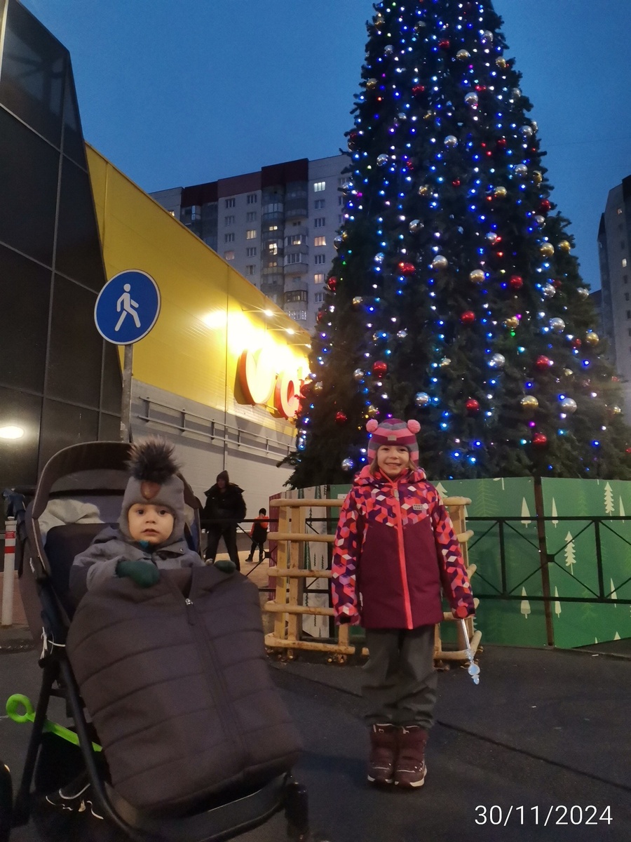 Новый год к нам мчится