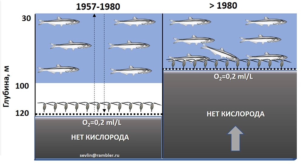    Инфографика: Министерство образования и науки РФ