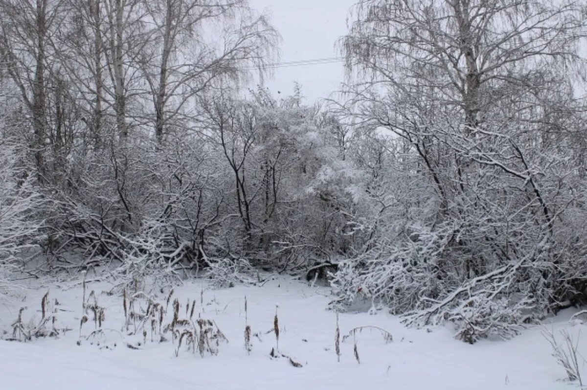    Экстренное предупреждение объявили в Забайкалье из-за ухудшения погоды