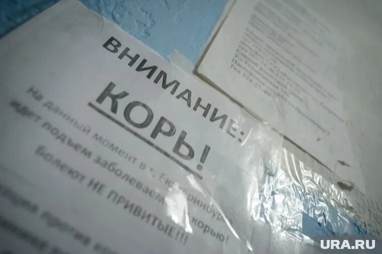 Педиатр рассказала как вести себя, если заболел корью. Фото: Владимир Жабриков © URA.RU