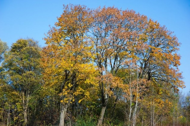   Фото из архива Калининград.Ru